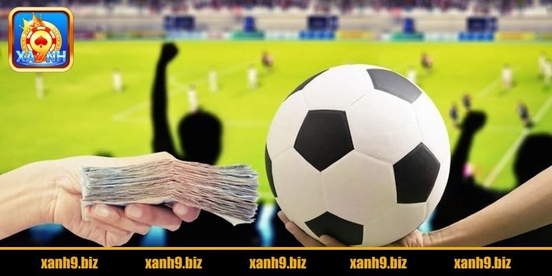 Cá độ bóng đá là gì?