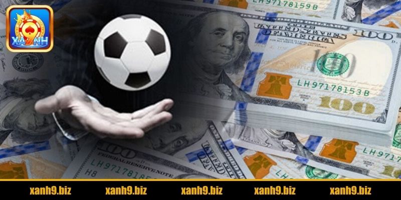 Cách cá độ bóng đá chọn loại kèo phù hợp
