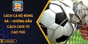 Cách cá độ bóng đá