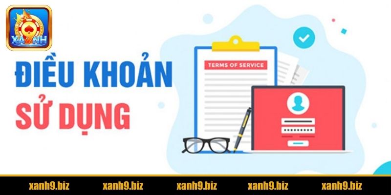 Cam kết điều khoản sử dụng