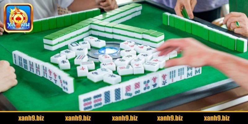Quan sát kỹ các lá bài